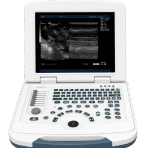 DW-580 B/W Ultrasound