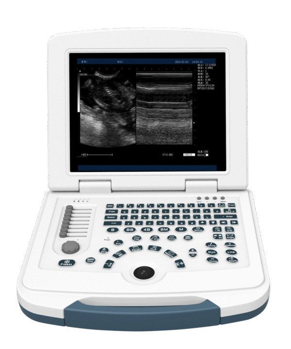 DW-580 B/W Ultrasound
