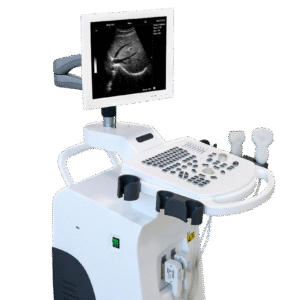 DW-350 Digital B/W Ultrasound