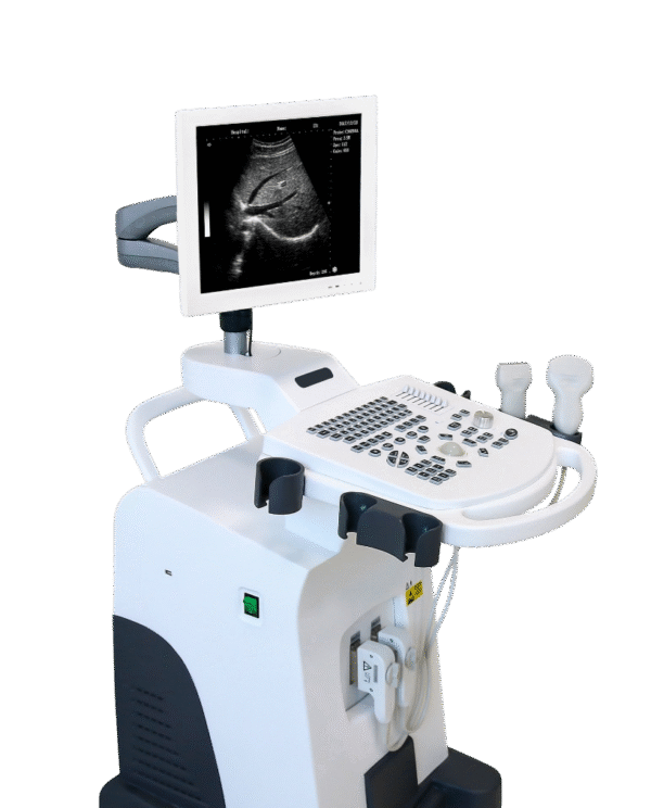 DW-350 Digital B/W Ultrasound