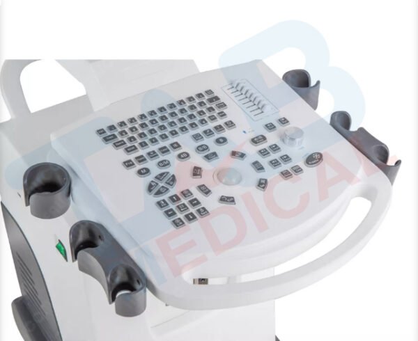 DW-350 Digital B/W Ultrasound - Image 3
