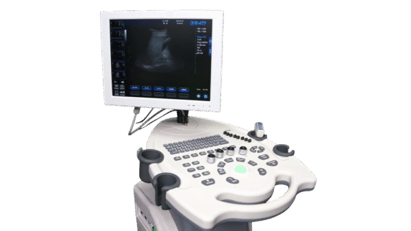 DW-370 PC digital B/W Ultrasound