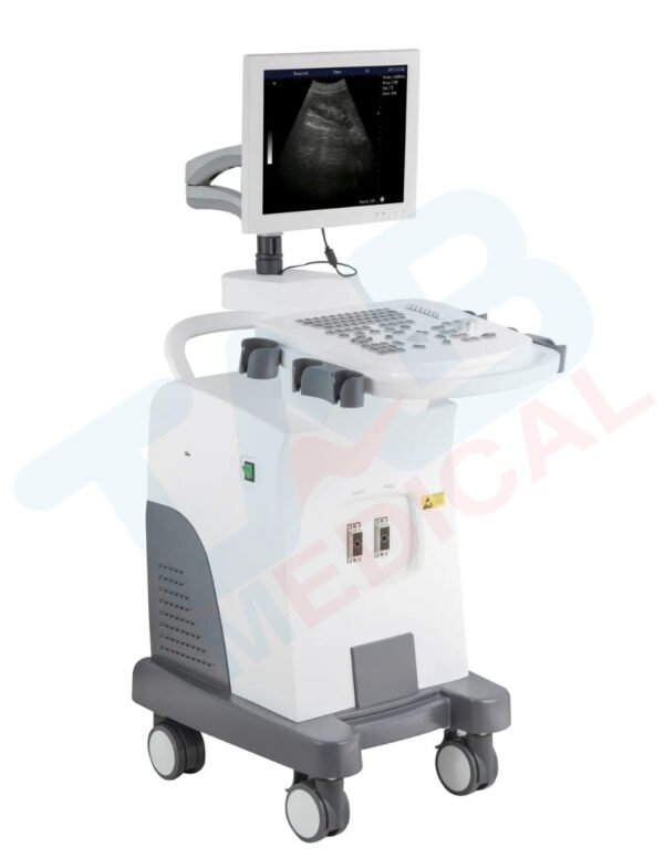 DW-350 Digital B/W Ultrasound - Image 2