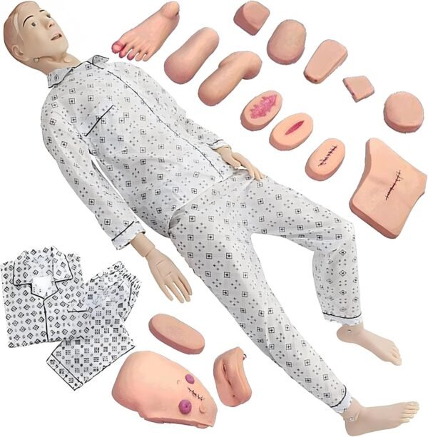 Medical Training Models - Image 6