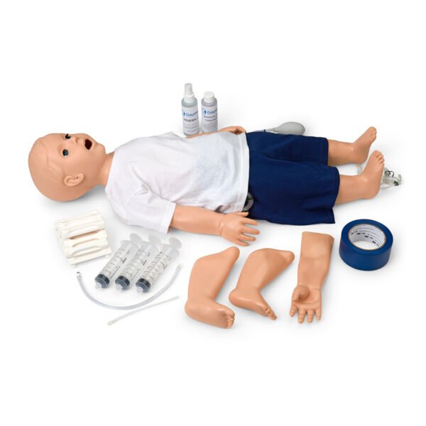Medical Training Models - Image 8